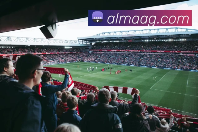 App Interface Preview